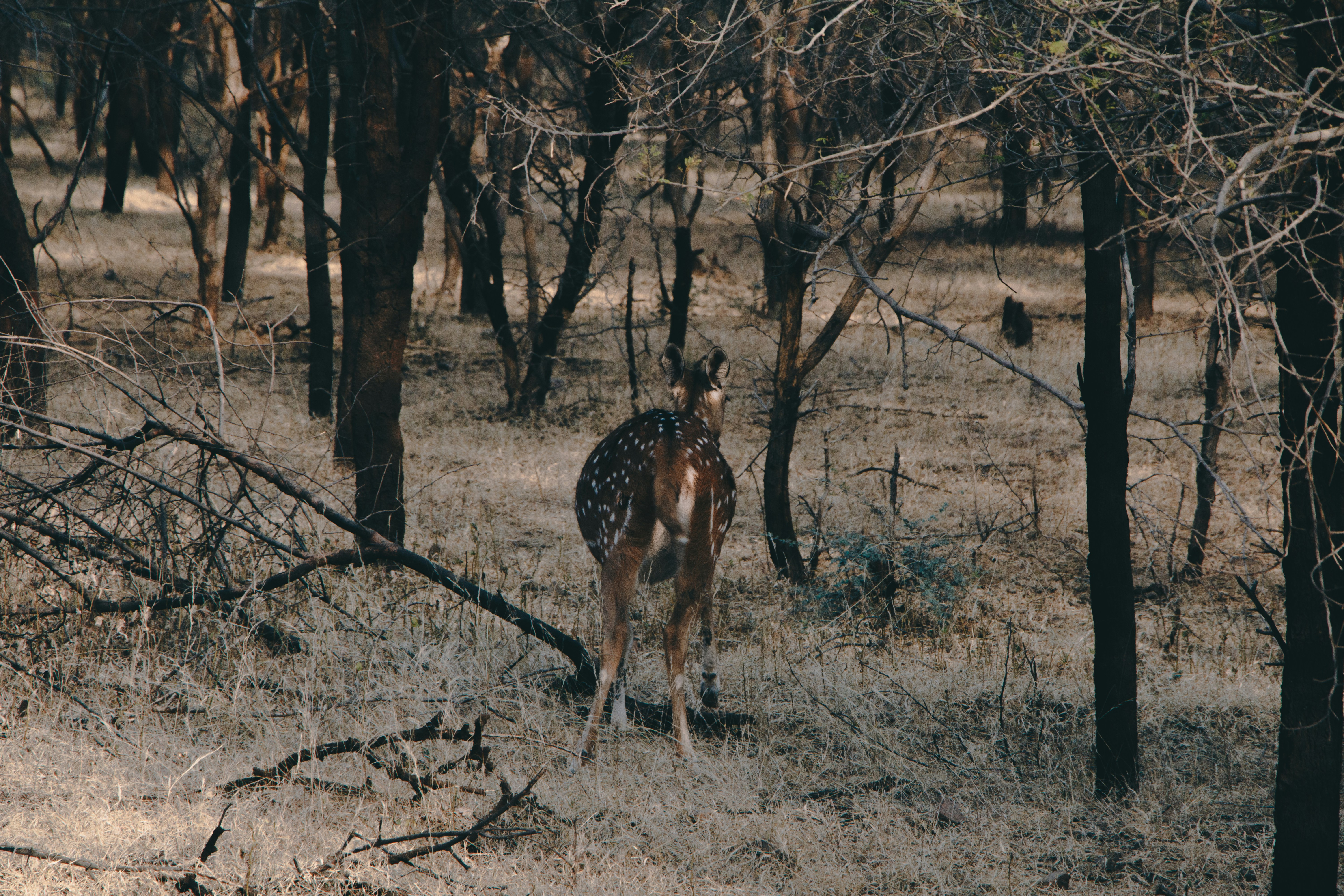 Photo by stationery_hoe