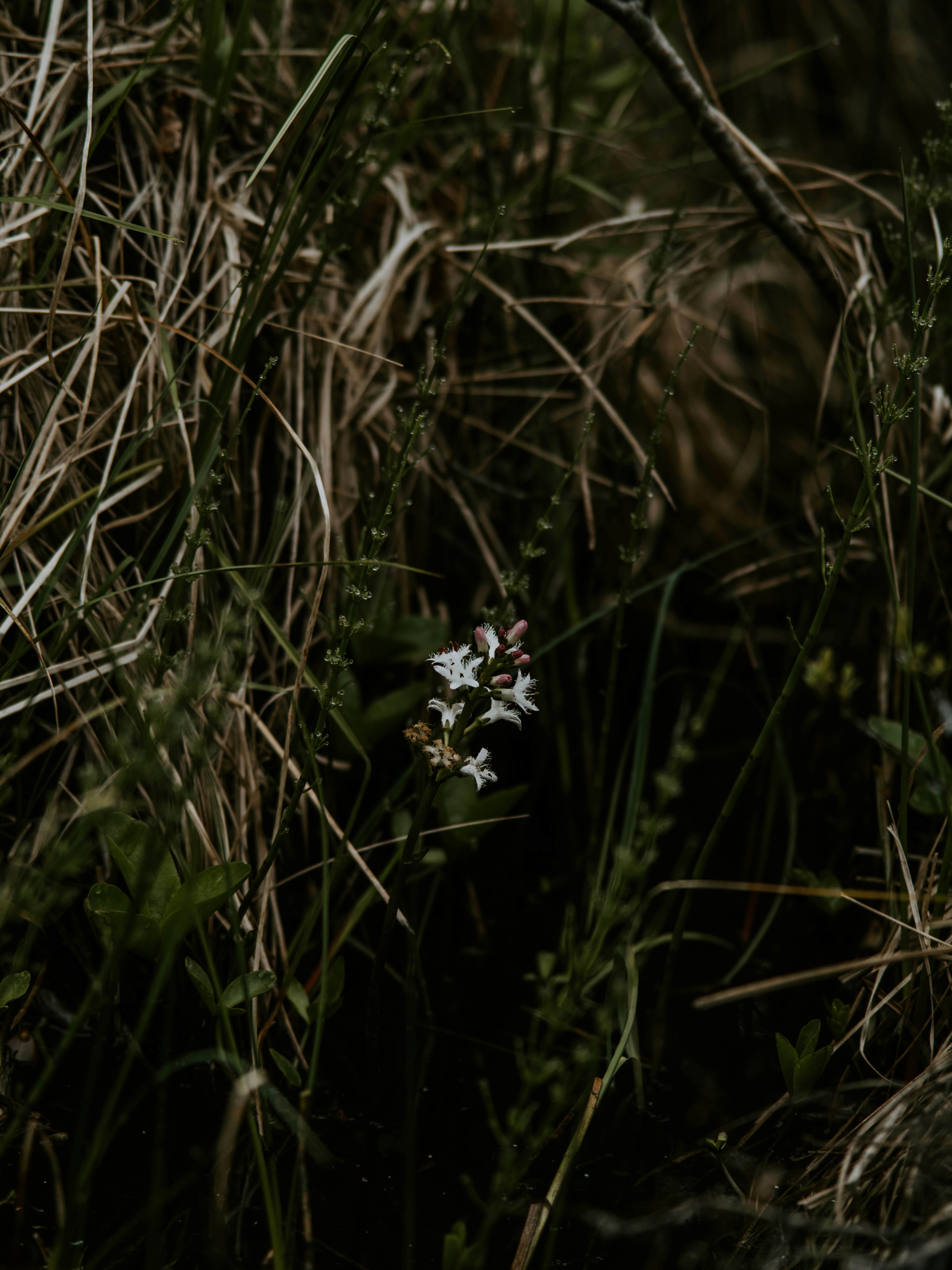 Photo by anniespratt