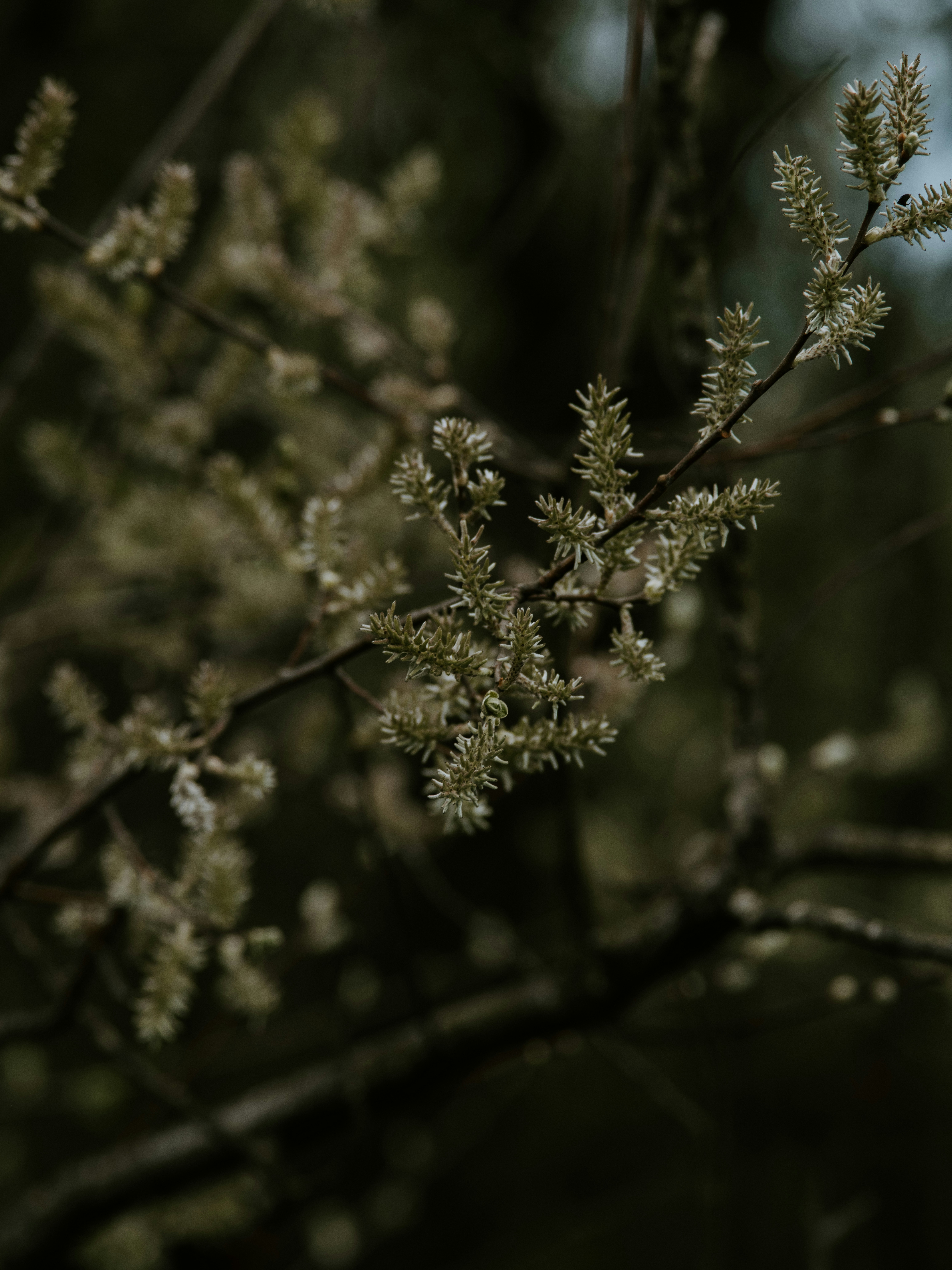 Photo by anniespratt