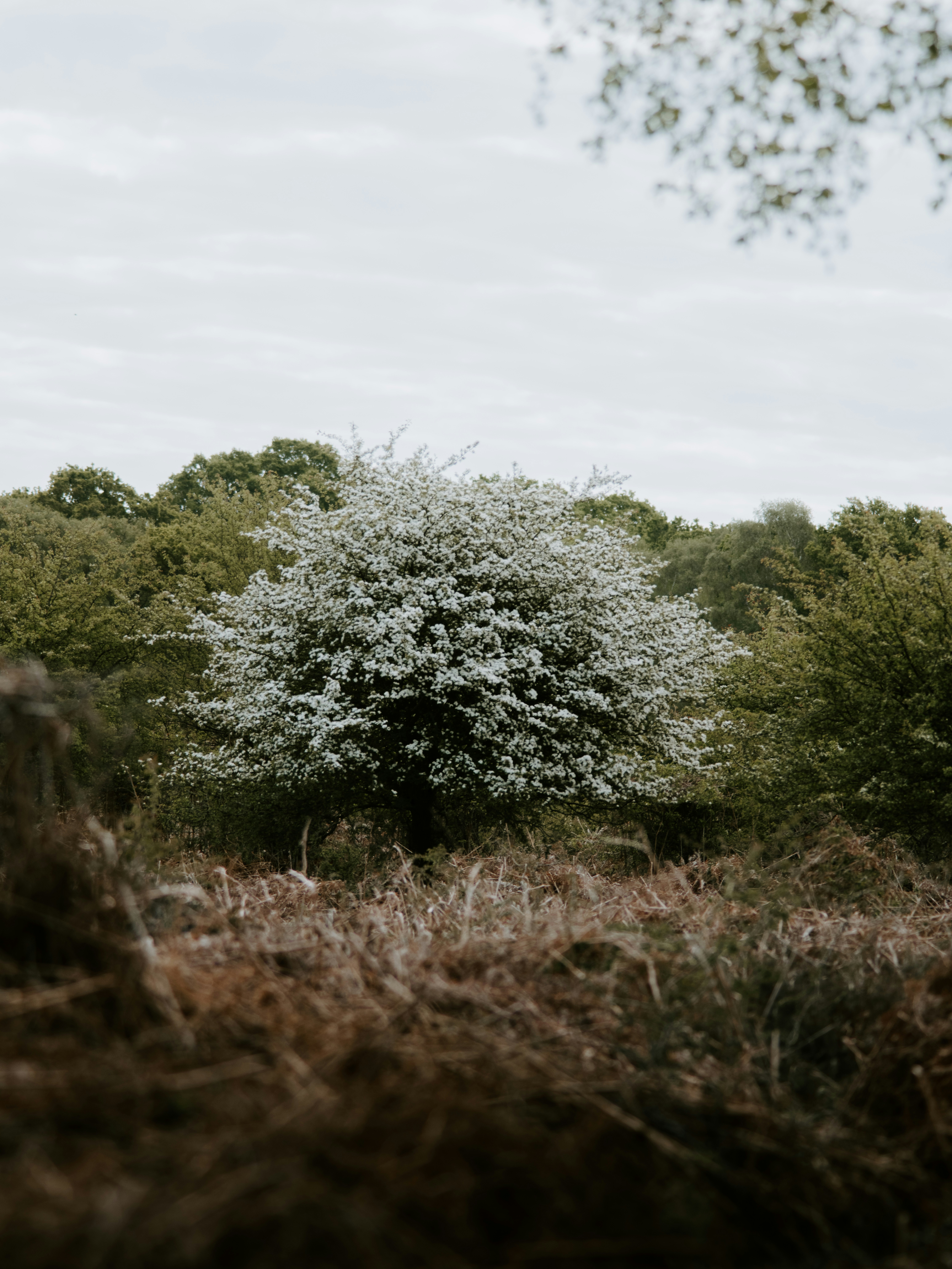 Photo by anniespratt