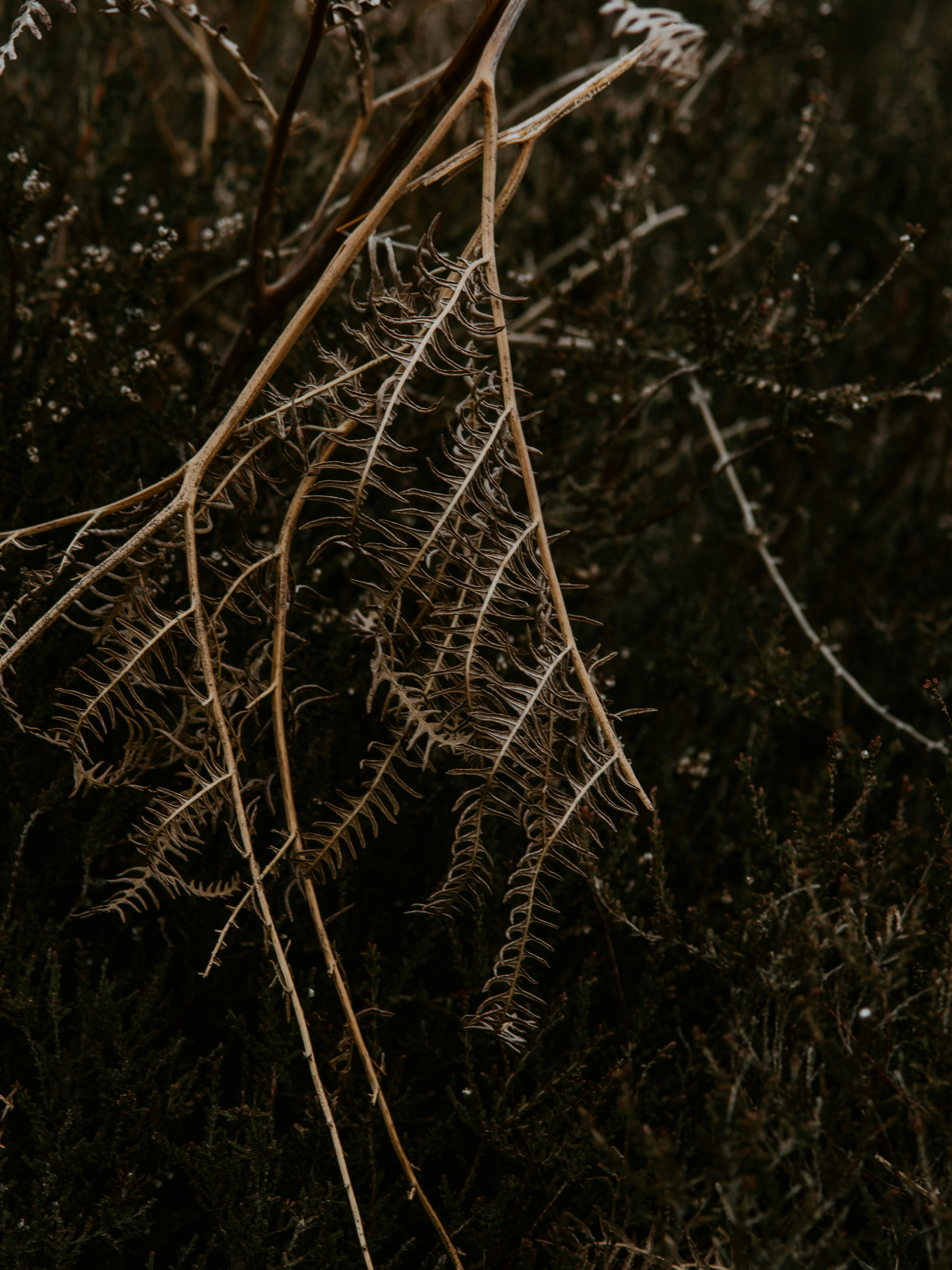 Photo by anniespratt