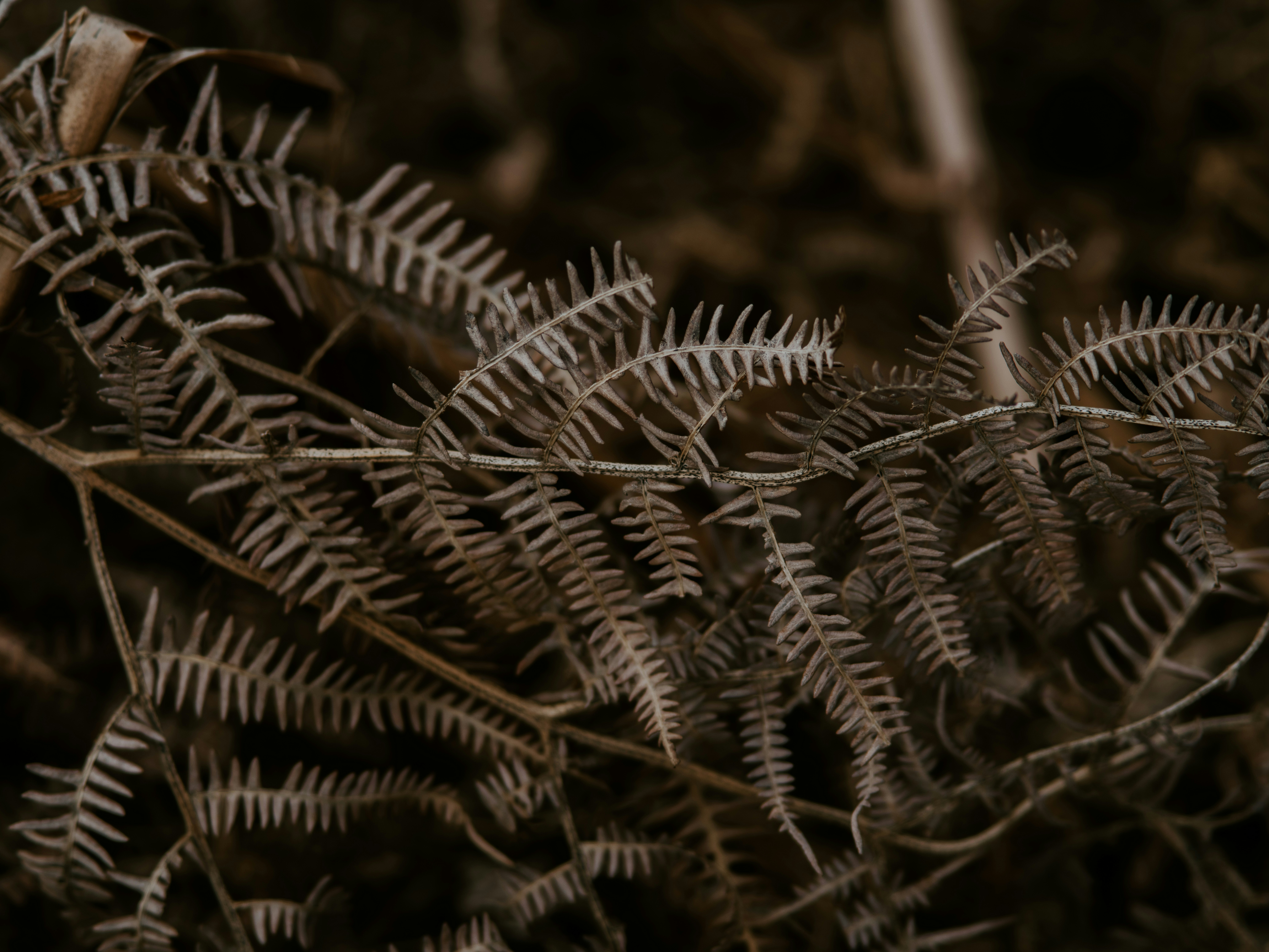 Photo by anniespratt