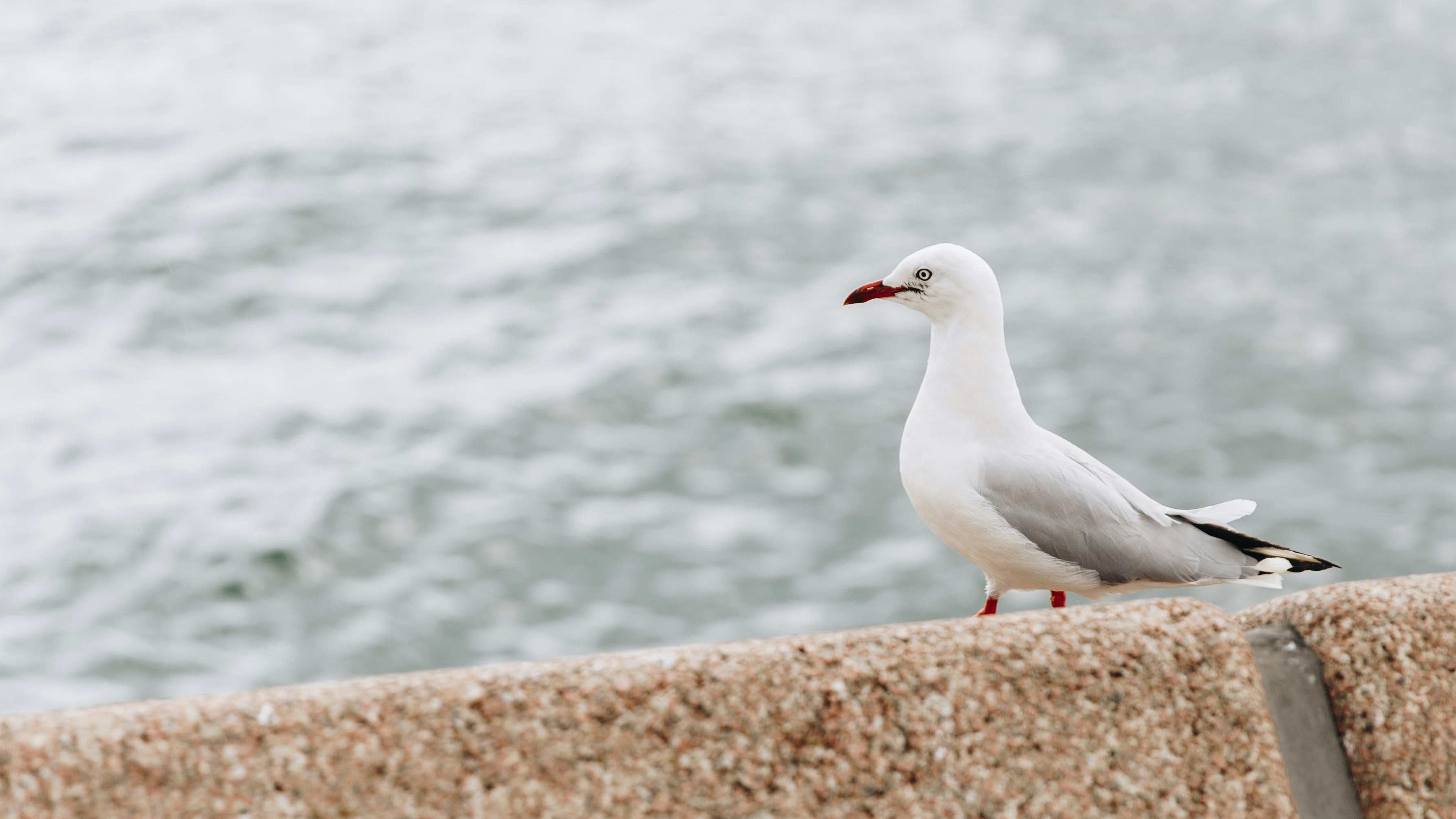 Photo by isaacbenhesed