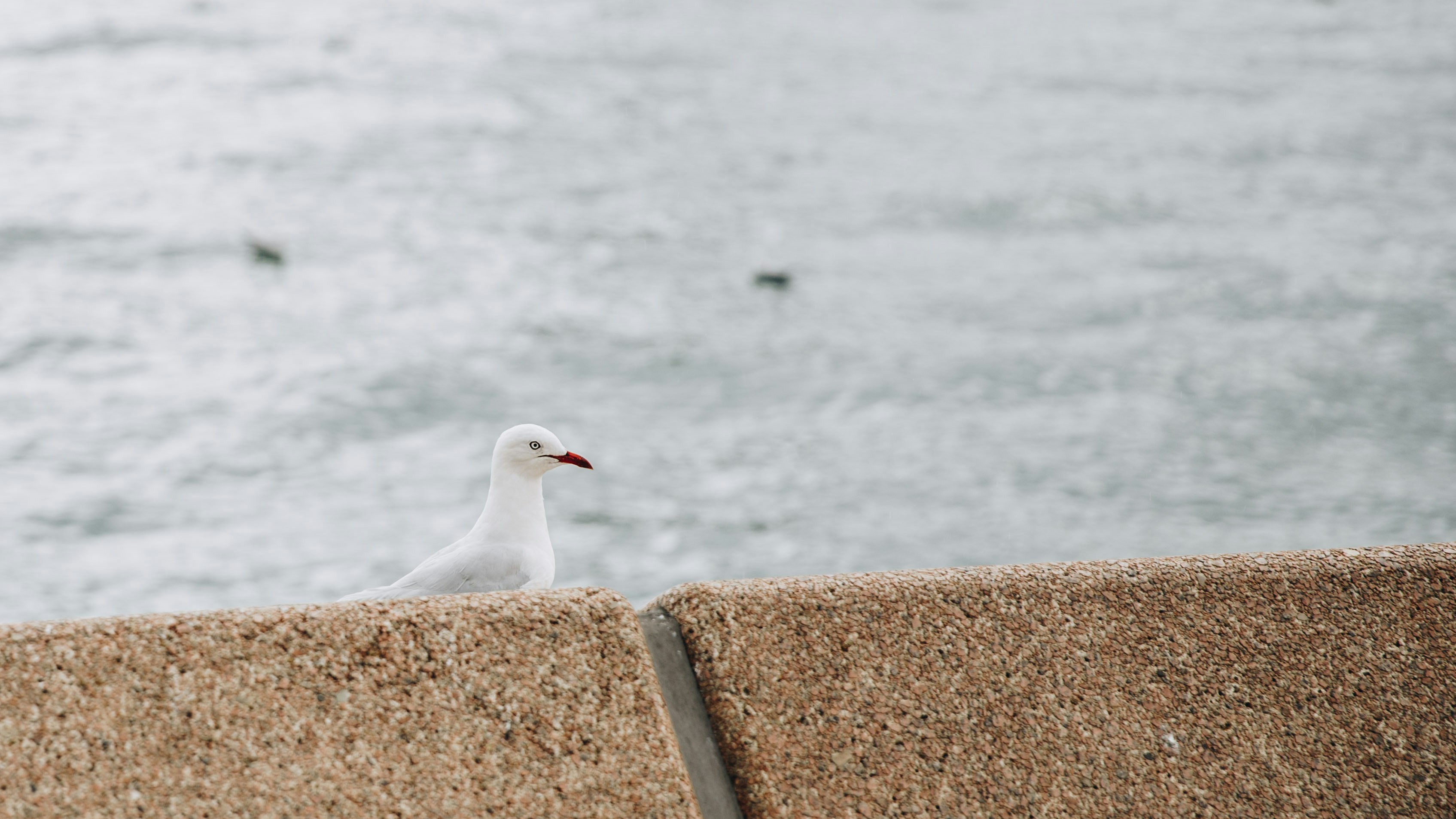 Photo by isaacbenhesed