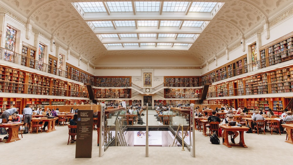 people inside library