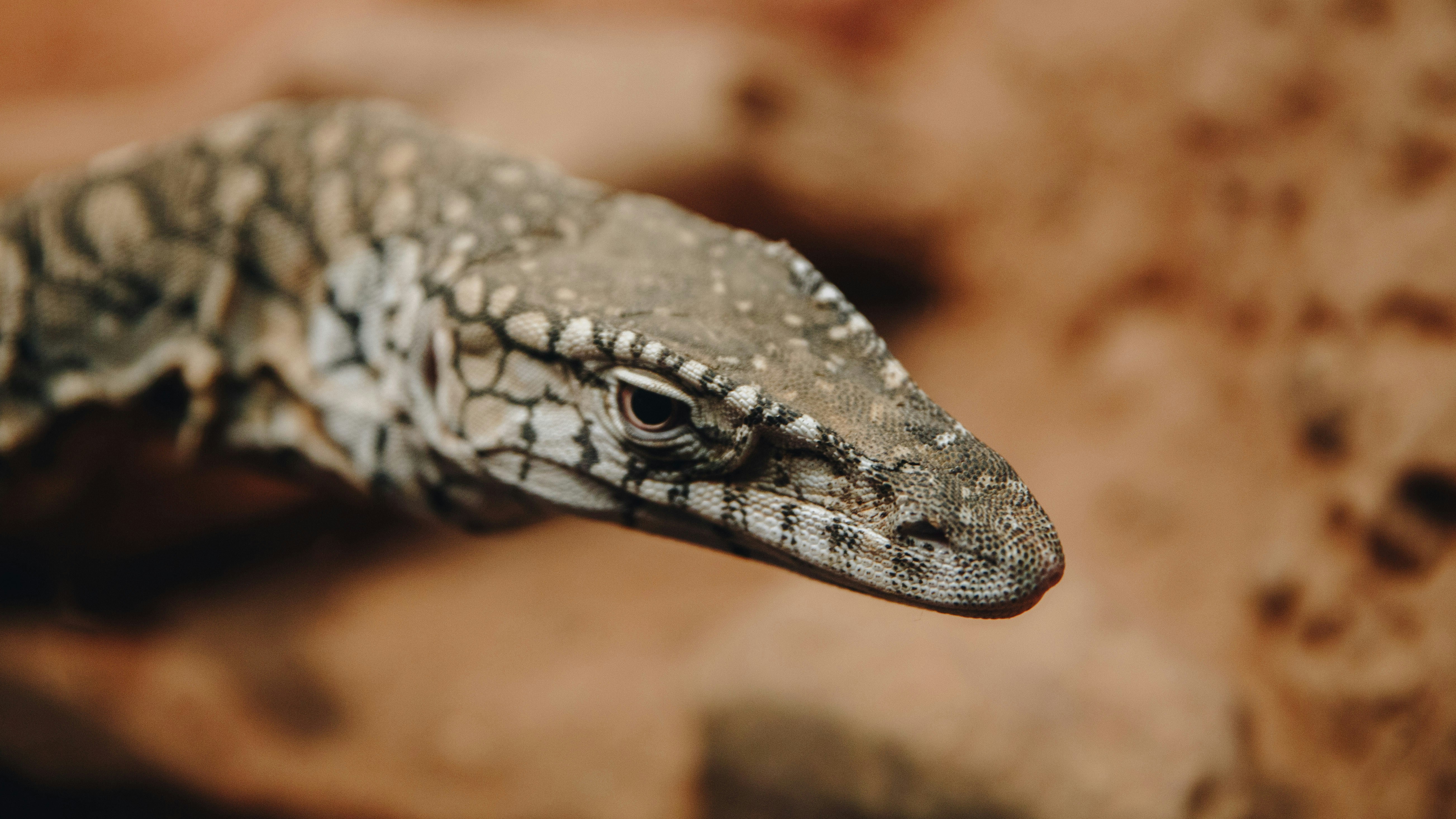 Photo by isaacbenhesed