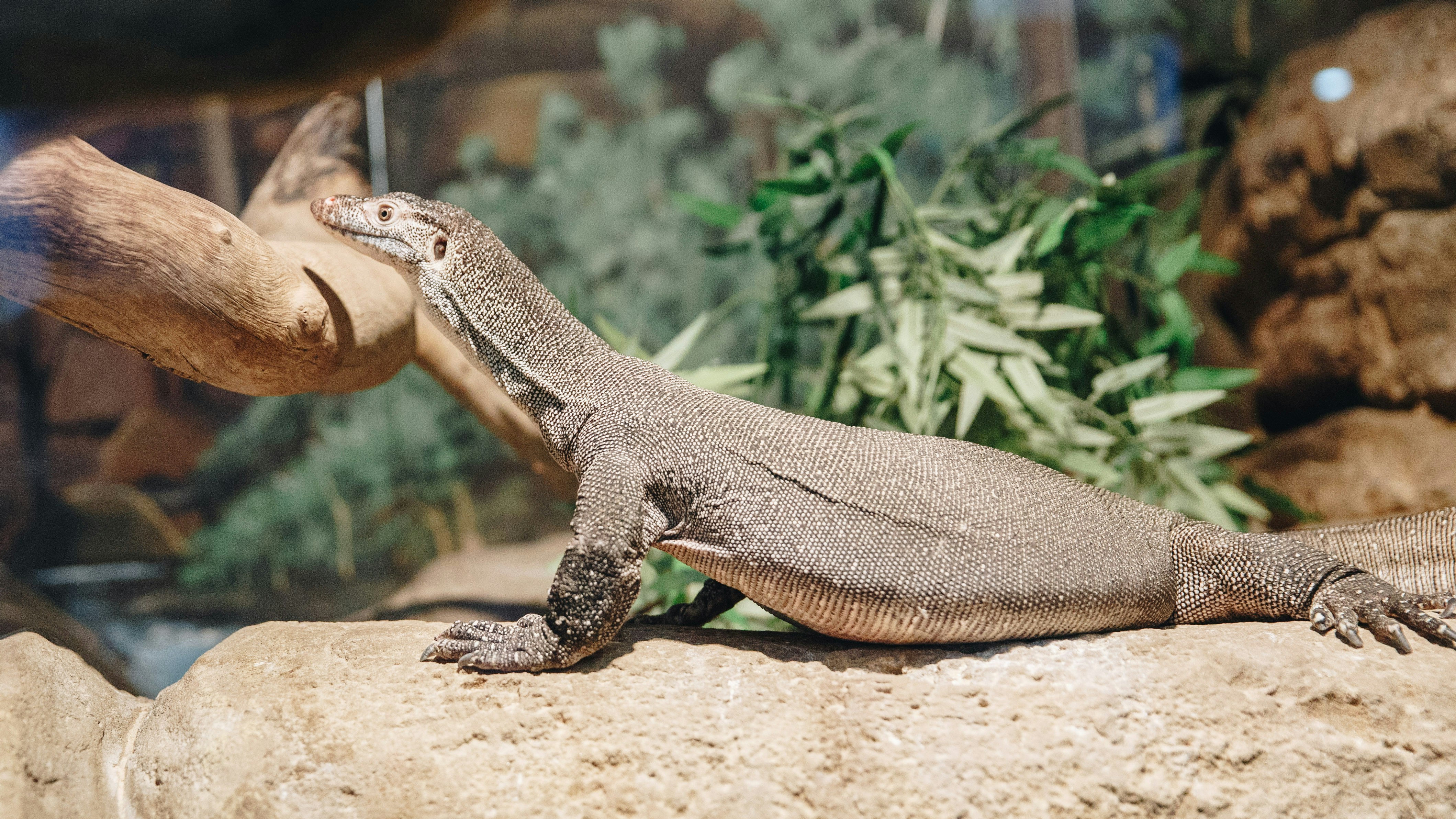 Photo by isaacbenhesed