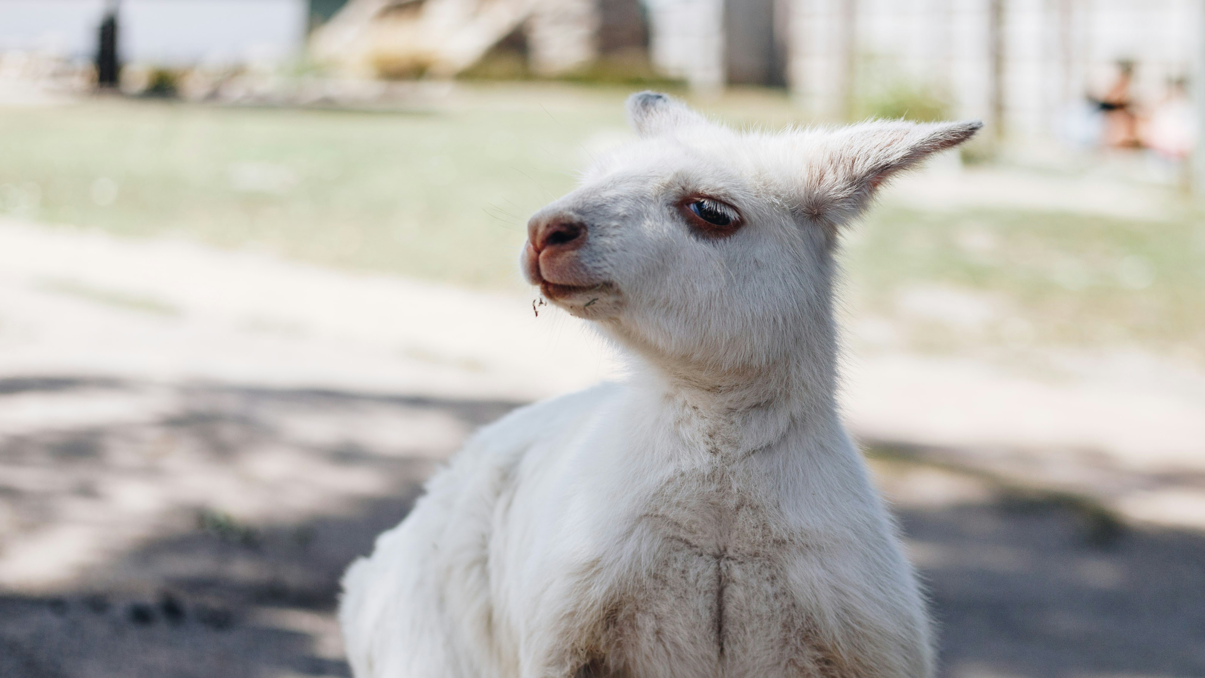 Photo by isaacbenhesed