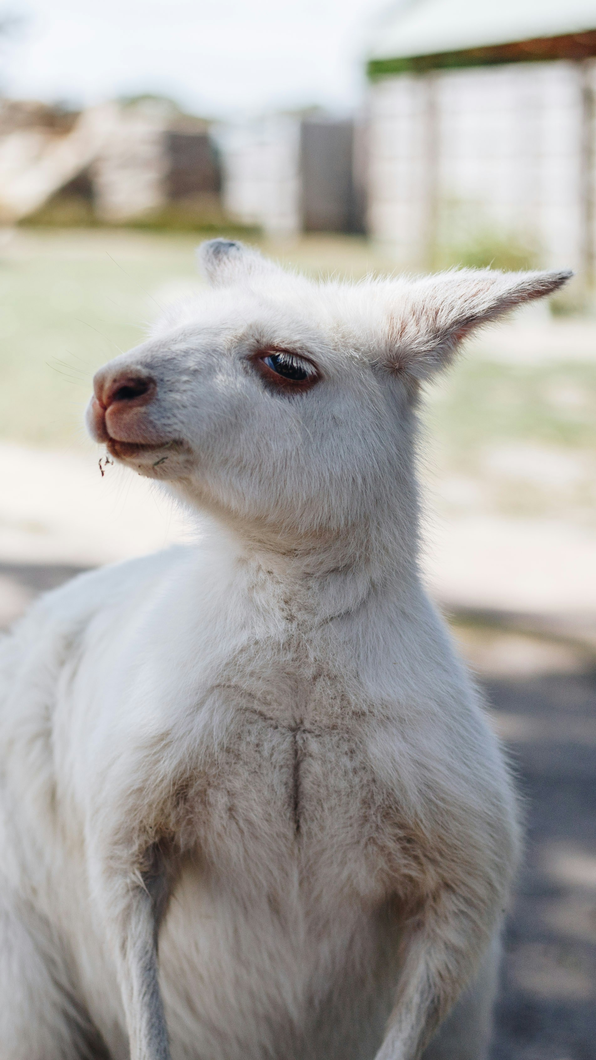 Photo by isaacbenhesed