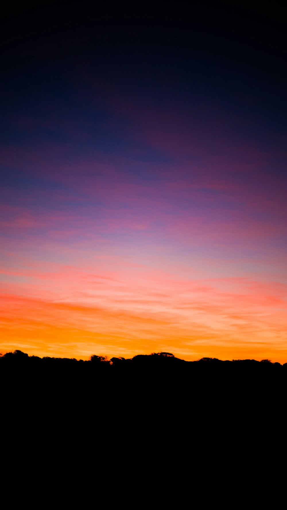 a plane flying in the sky at sunset