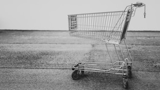 grey shopping cart