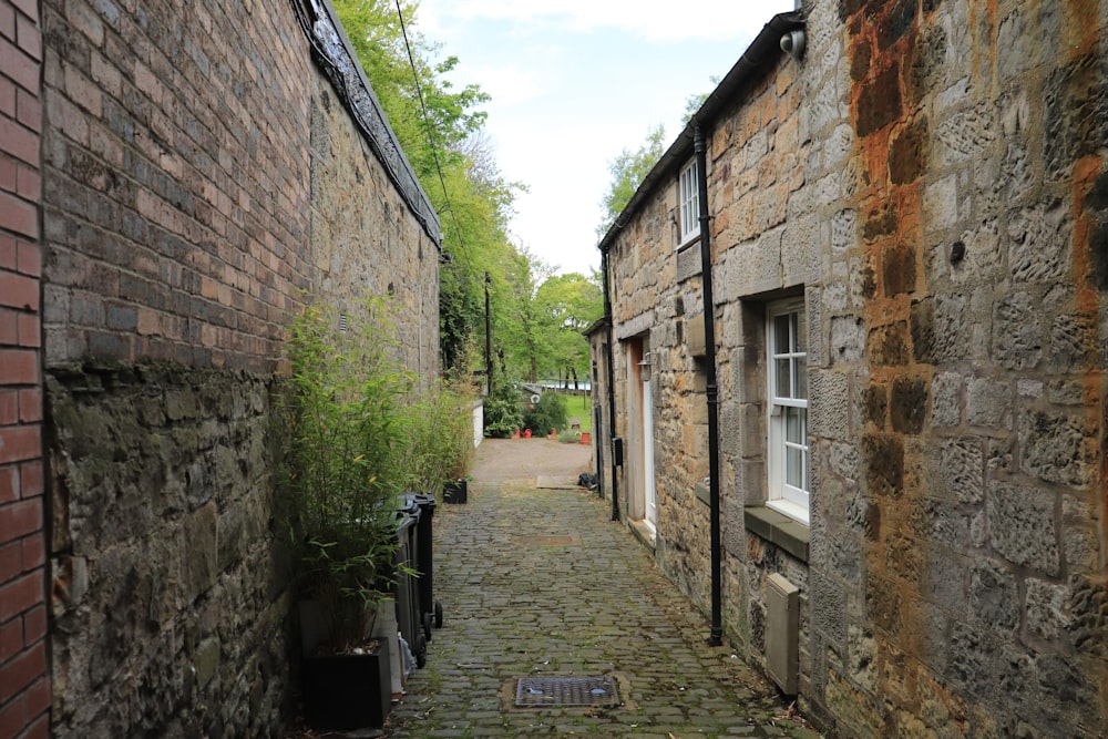 empty road between walls