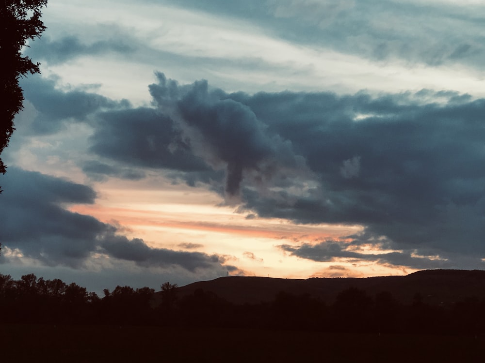 silhouette of trees under gray sky