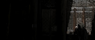 A mysterious figure wearing a hooded cloak stands in front of ornately carved wooden doors with intricate patterns. The setting is dimly lit, creating a shadowy and enigmatic atmosphere. The figure appears to be peering into a small window or gap in the door.