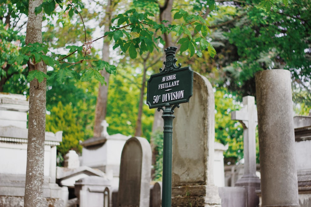 green signage beside trees