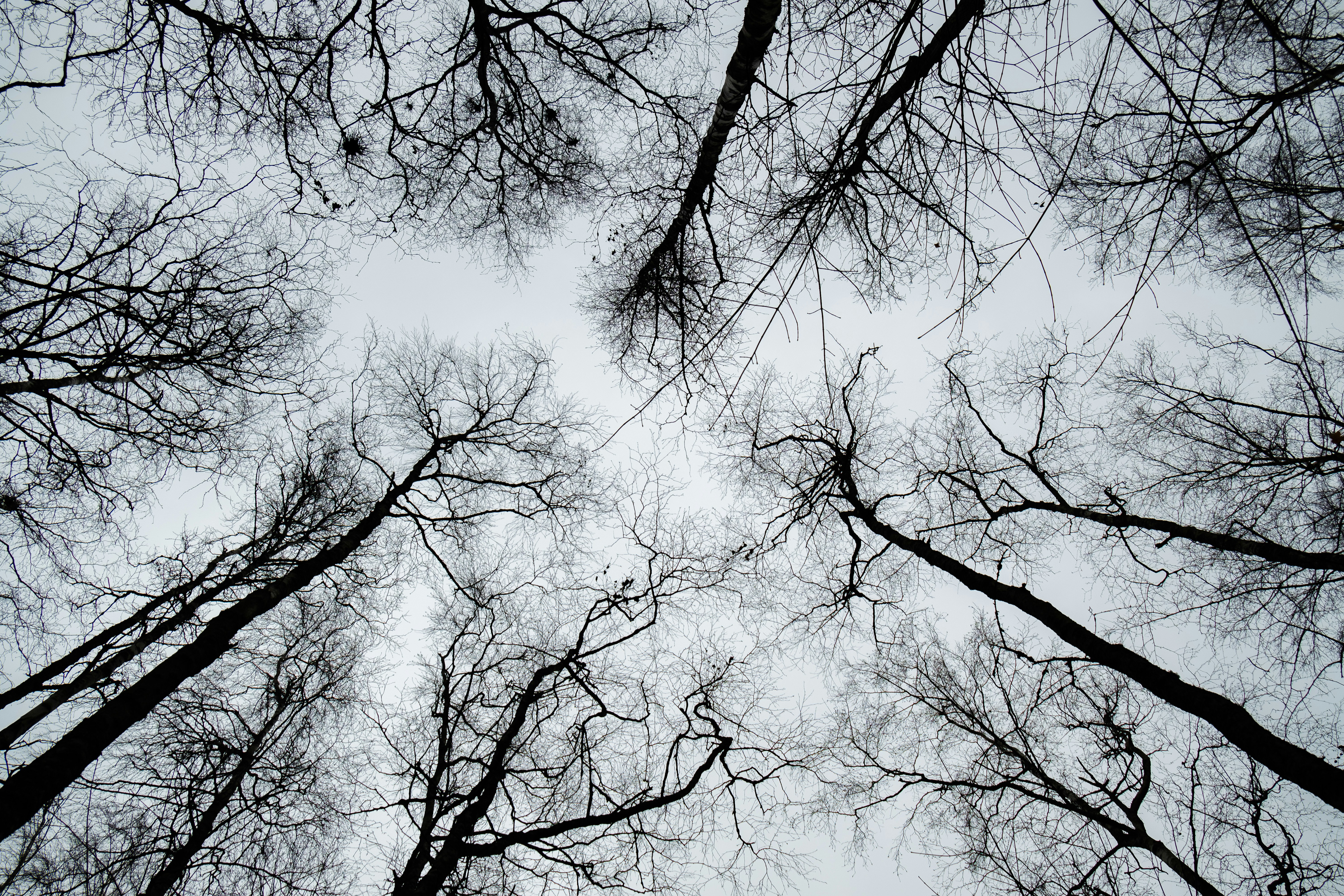 Photo by silverringvee