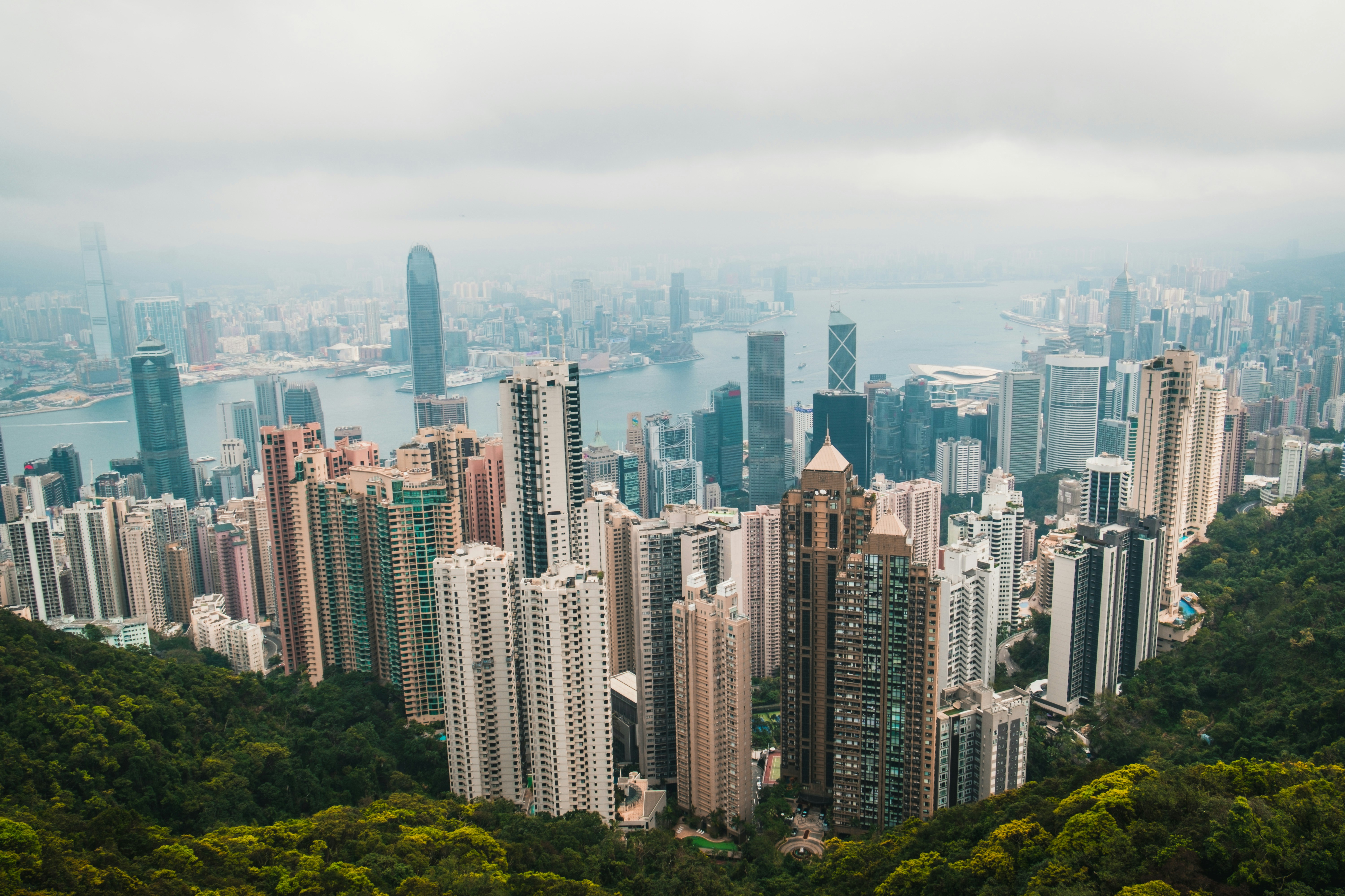 Photo by silverringvee