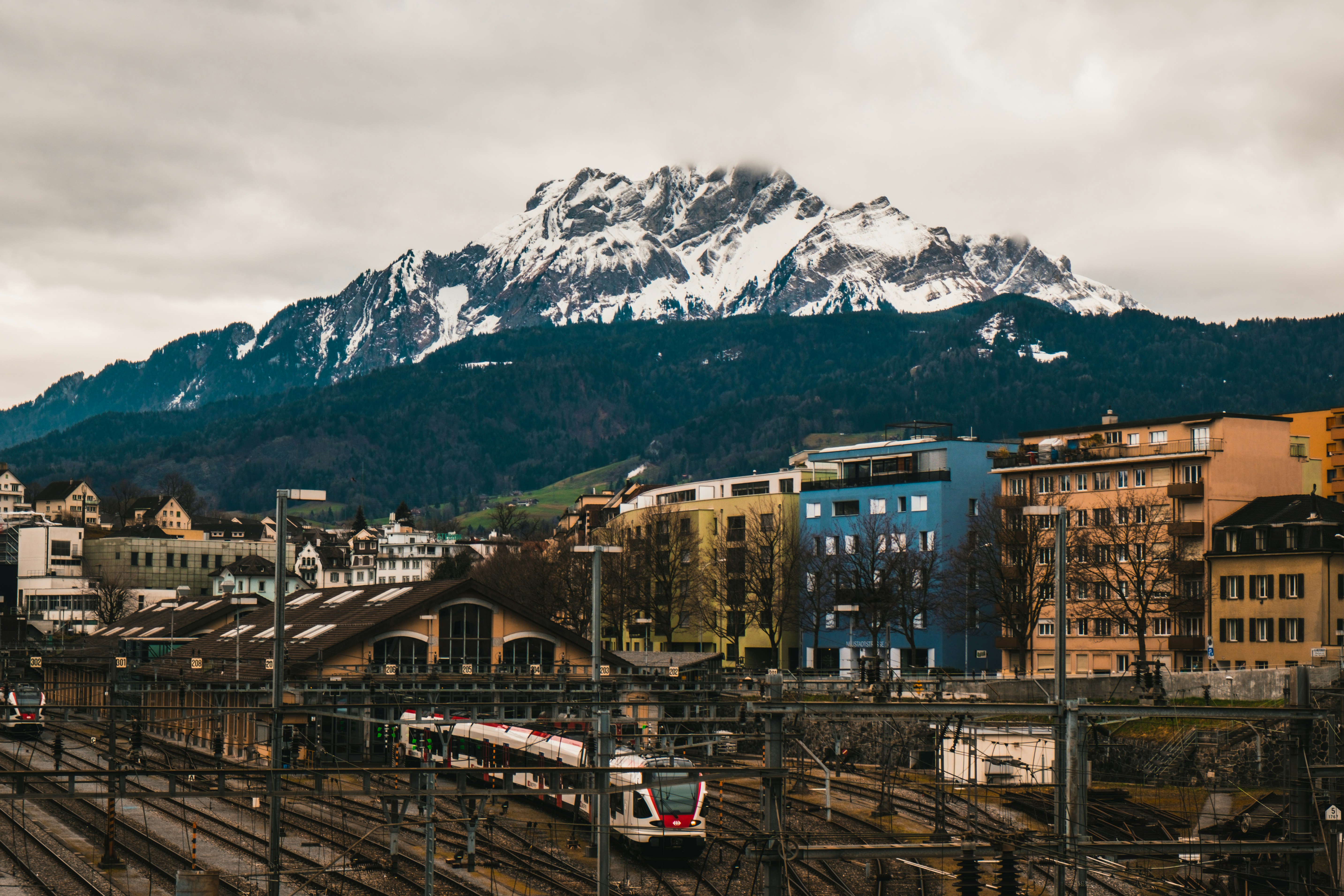 Photo by silverringvee