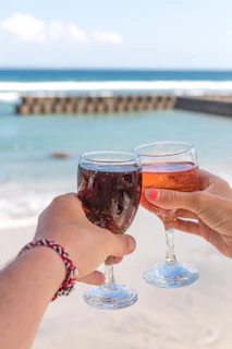 A scenic view of the Basque coastline with a group of Spartans raising their glasses in toast
