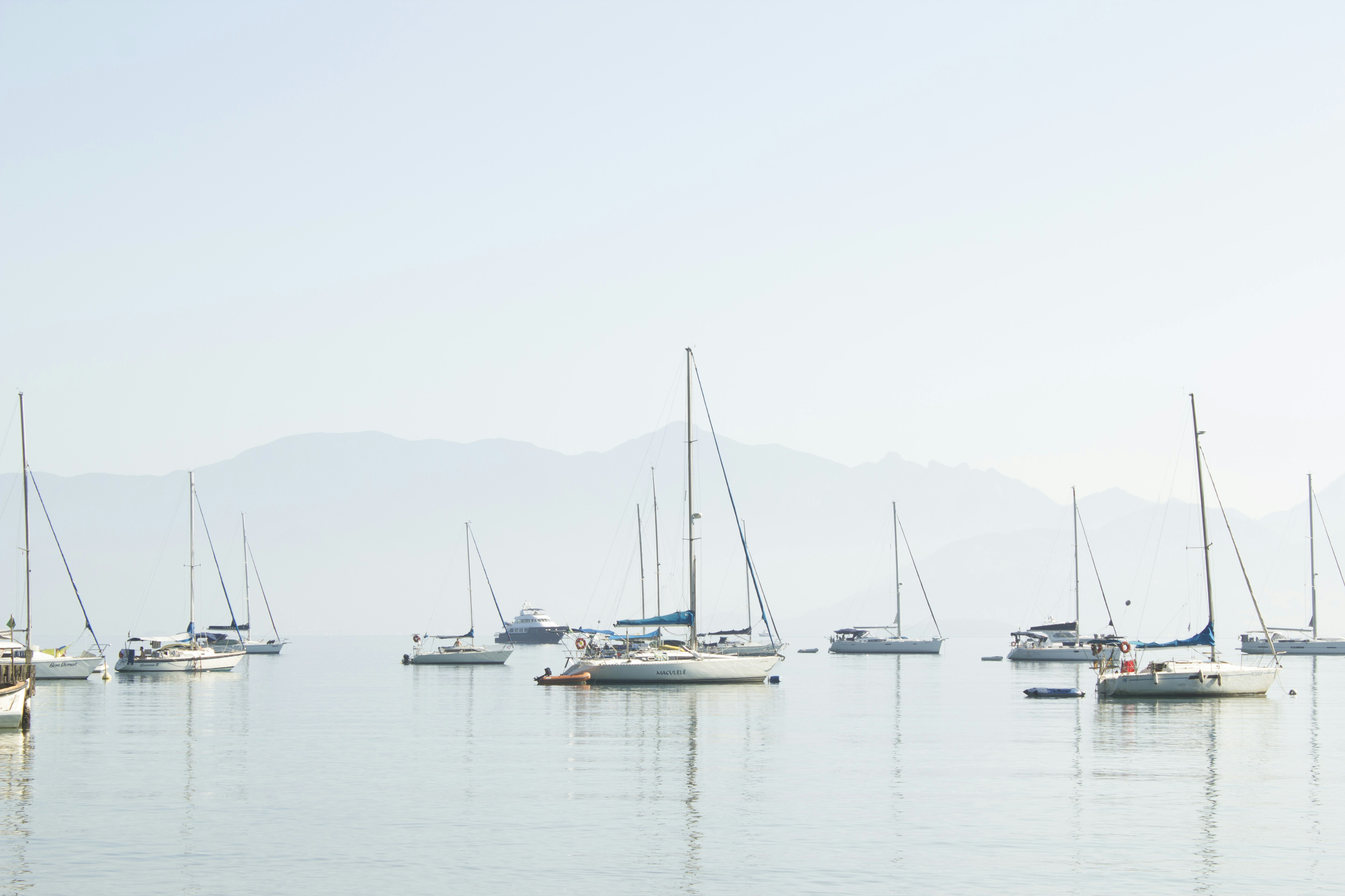 Photo by _alinedefreitasocn