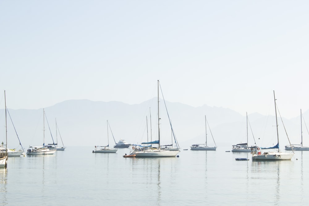 Barcos en el cuerpo de agua