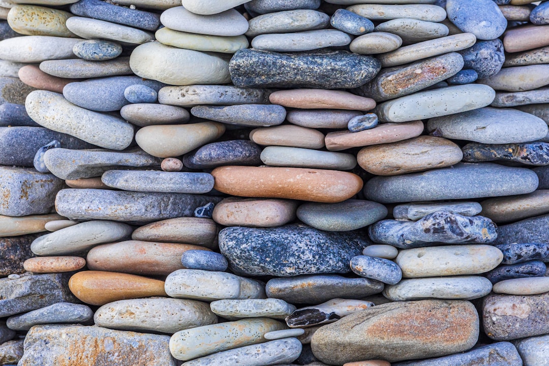 The Law of Requisite Variety