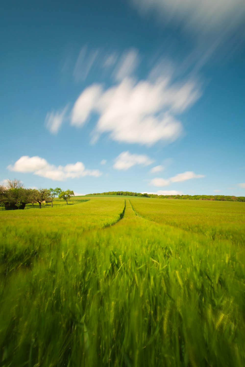 green field under blue sky and white clouds during daytime