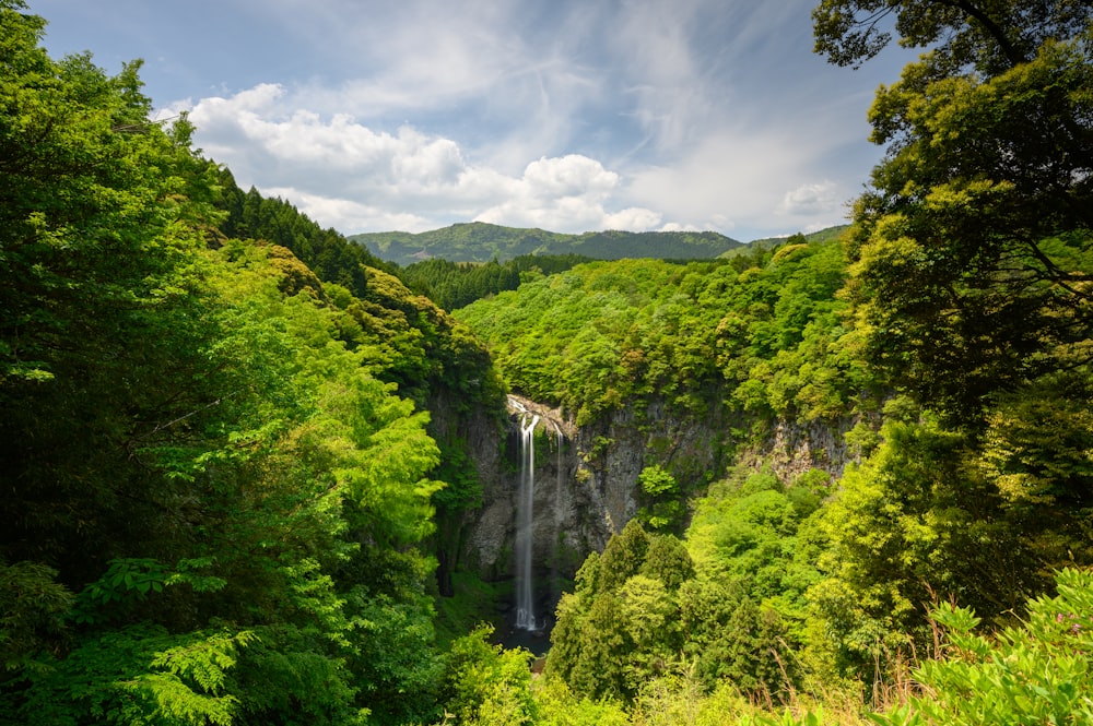 waterfalls between trees