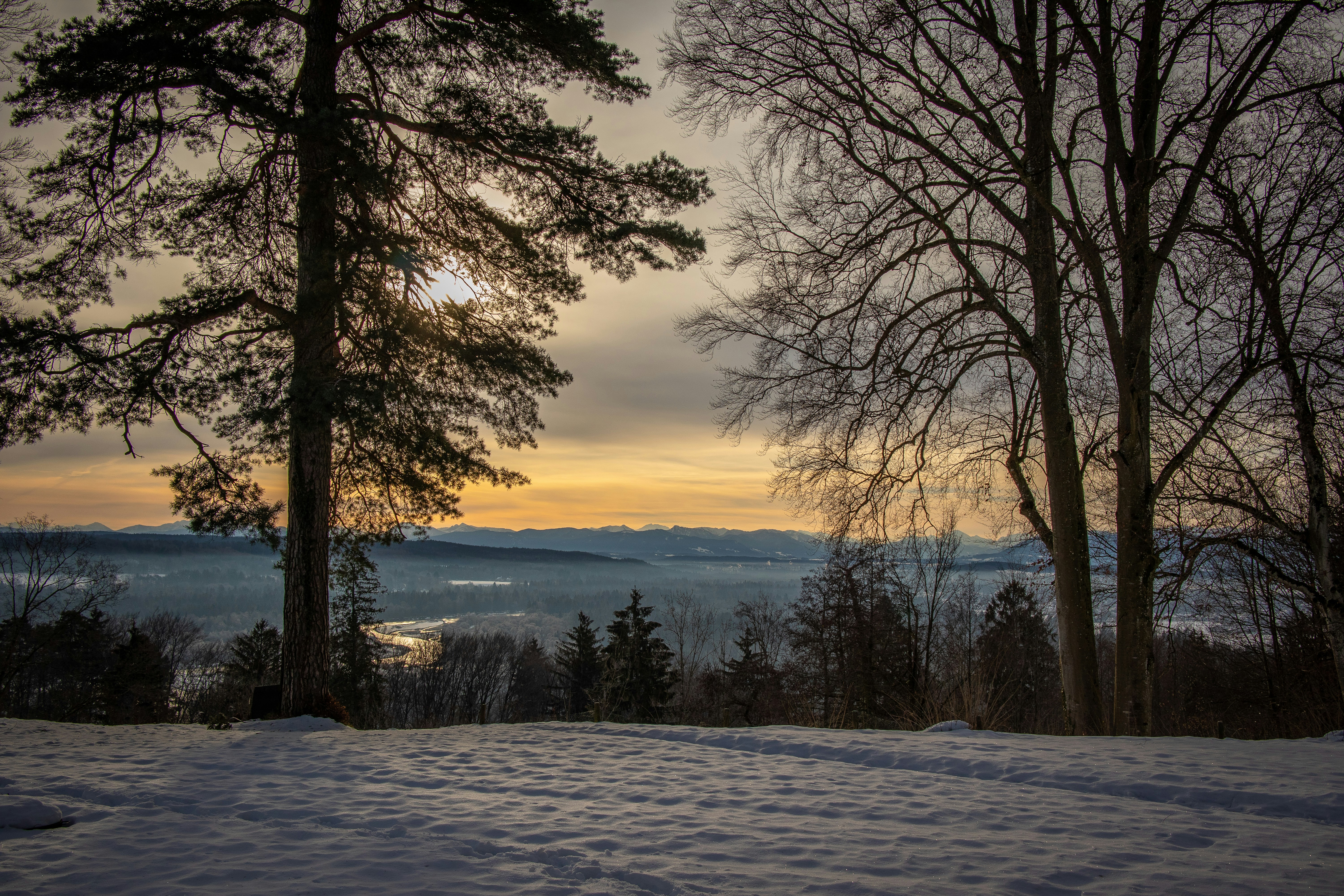 Photo by alexanderczerny