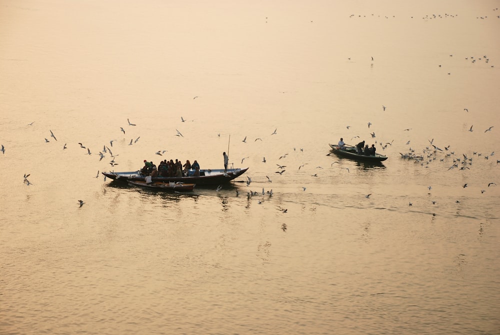 two boat in a body of water during daytime