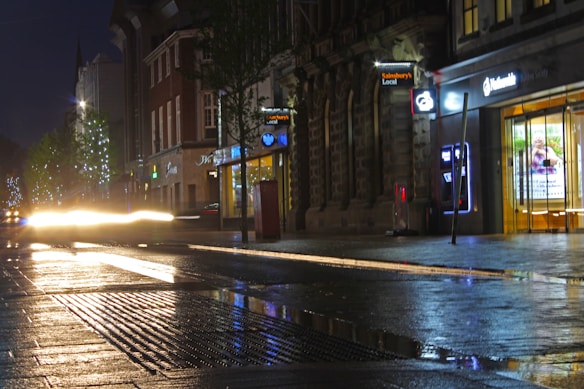 The image depicts a city street scene at night, where storefronts are illuminated and reflections are visible on the wet pavement. Car headlights create streaks of light across the road, and there are lit-up trees along the sidewalk. The architecture of the buildings is visible with various neon and store signs.