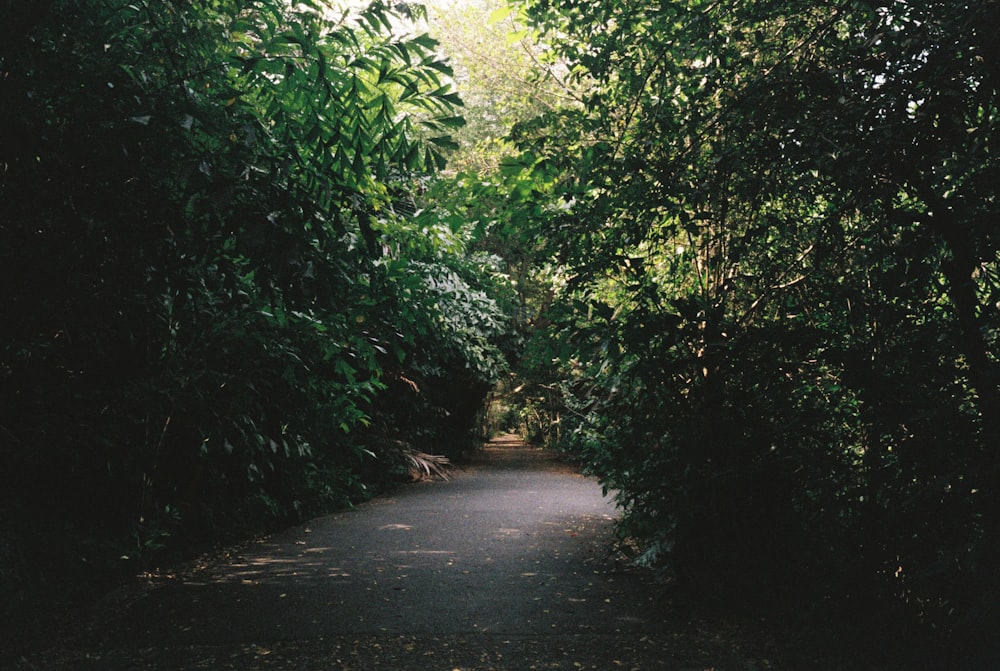 empty road during daytime