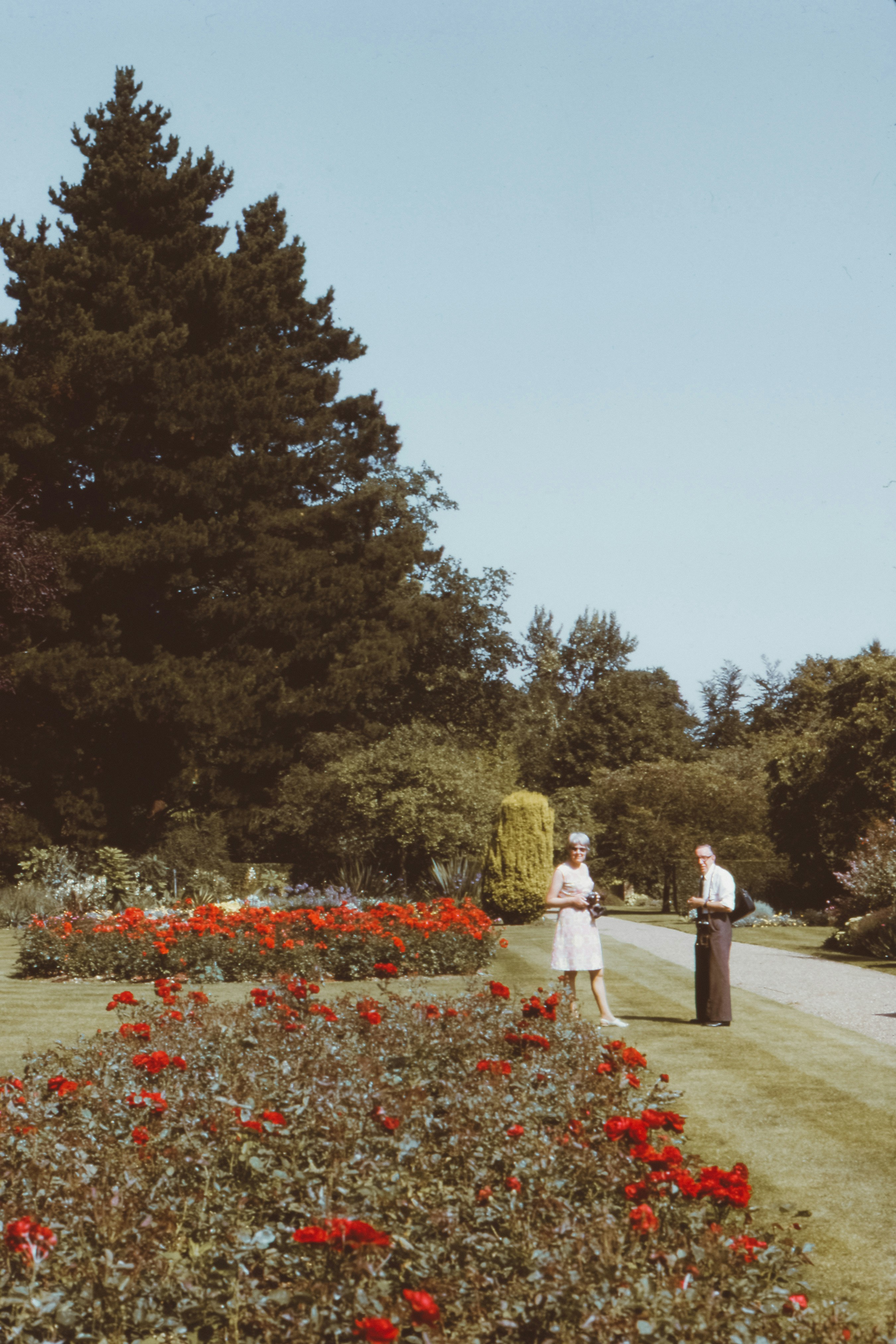 Photo by anniespratt