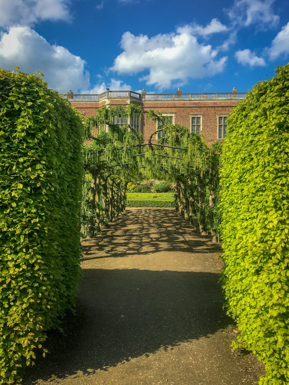 pathway beside hedges in front of building