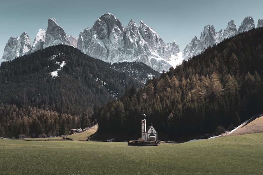 Casa Bianca Vicino Agli Alberi