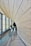 A modern architectural interior with a sweeping, curved wooden wall and tall vertical windows allowing natural light to flood the space. A red-carpeted escalator runs alongside the wall, surrounded by glass railings. Potted plants add greenery to the setting.