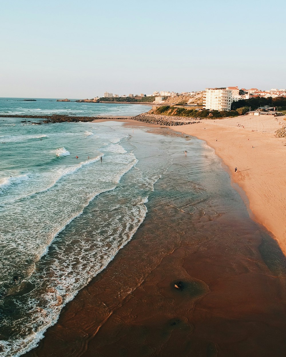 seashore during daytime