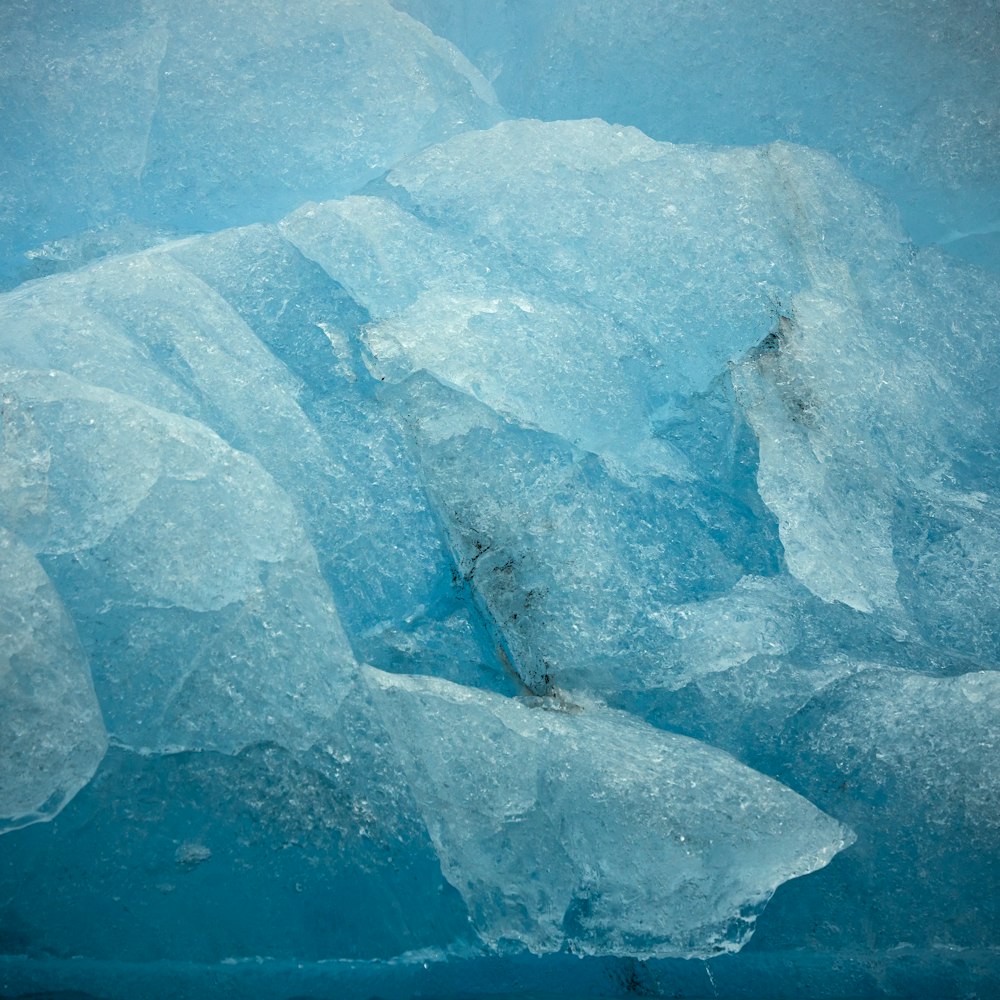 a bird sitting on top of a large chunk of ice