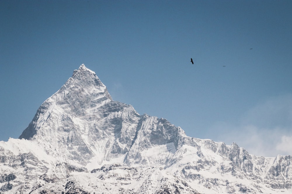 Mt. Everest during daytime