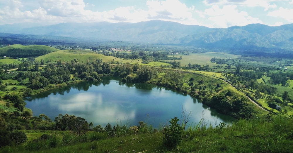 Fotografía de gran angular del lago en el bosque