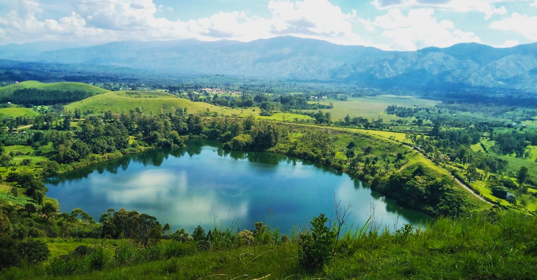 high-angle photography of lake at the forest