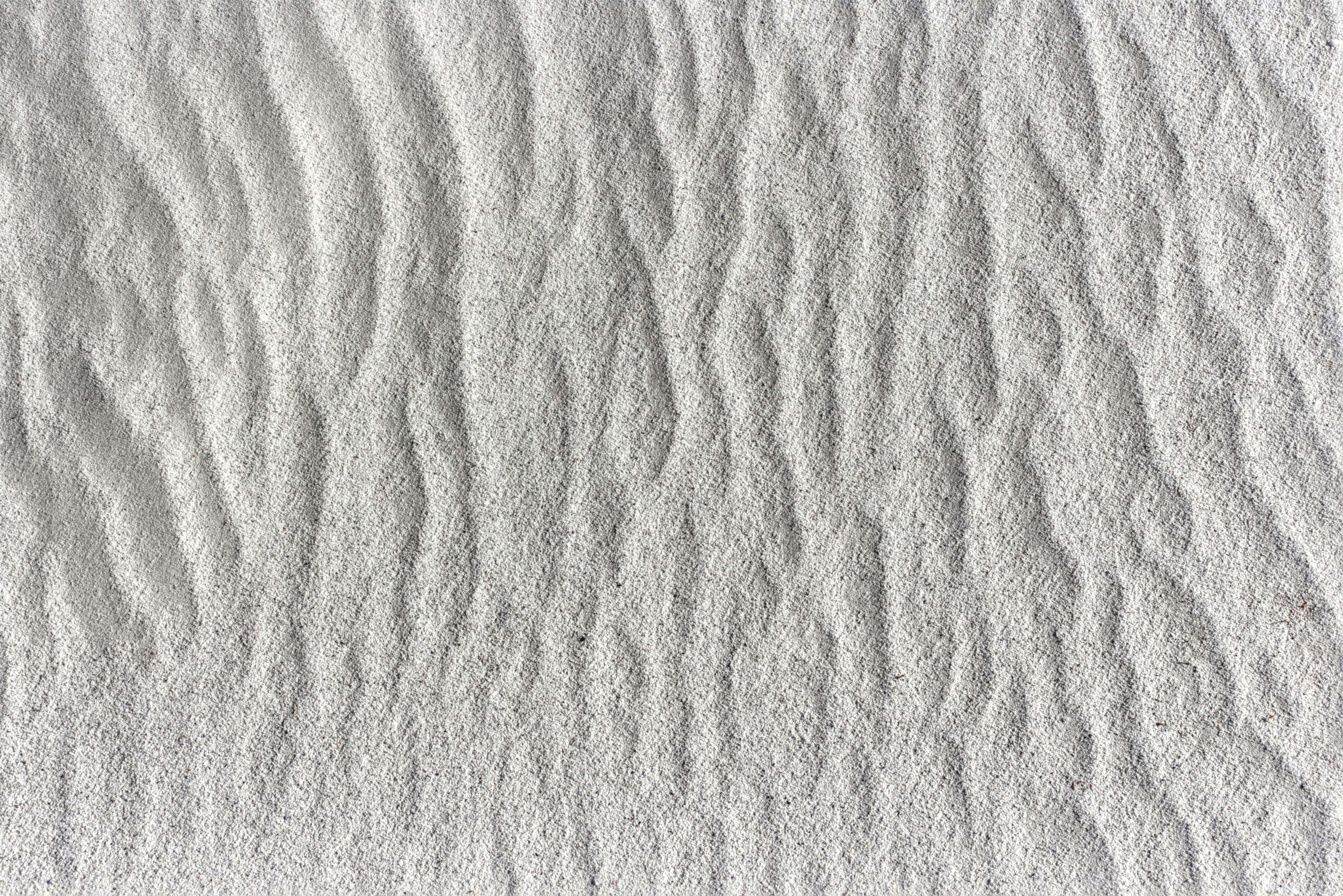 Photo by jaydenbrand