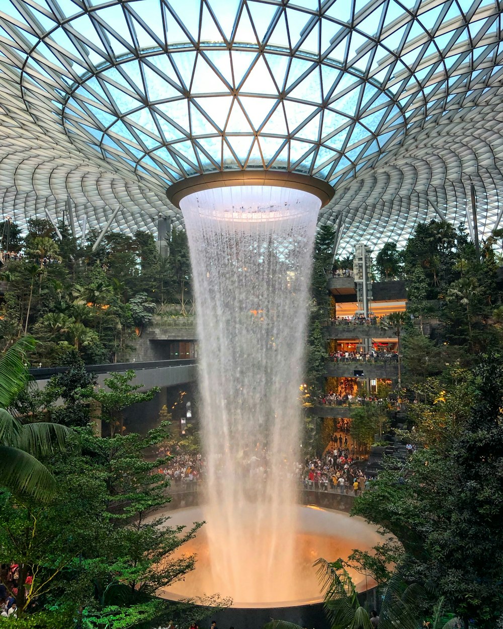 water fountain surrounded by trees inside building