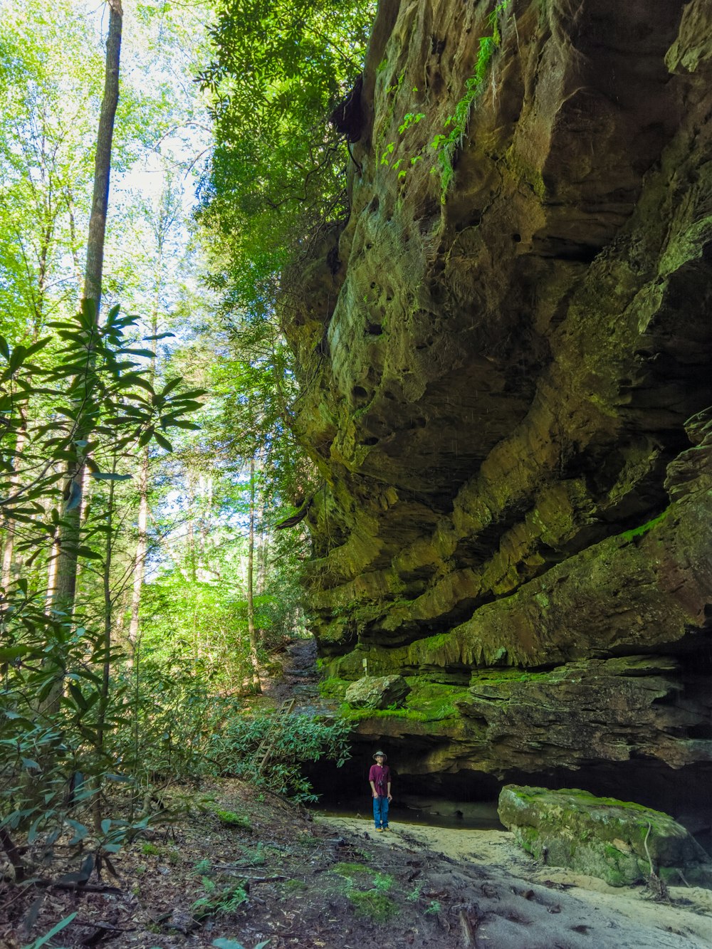 man standing below rock wall covered in moss