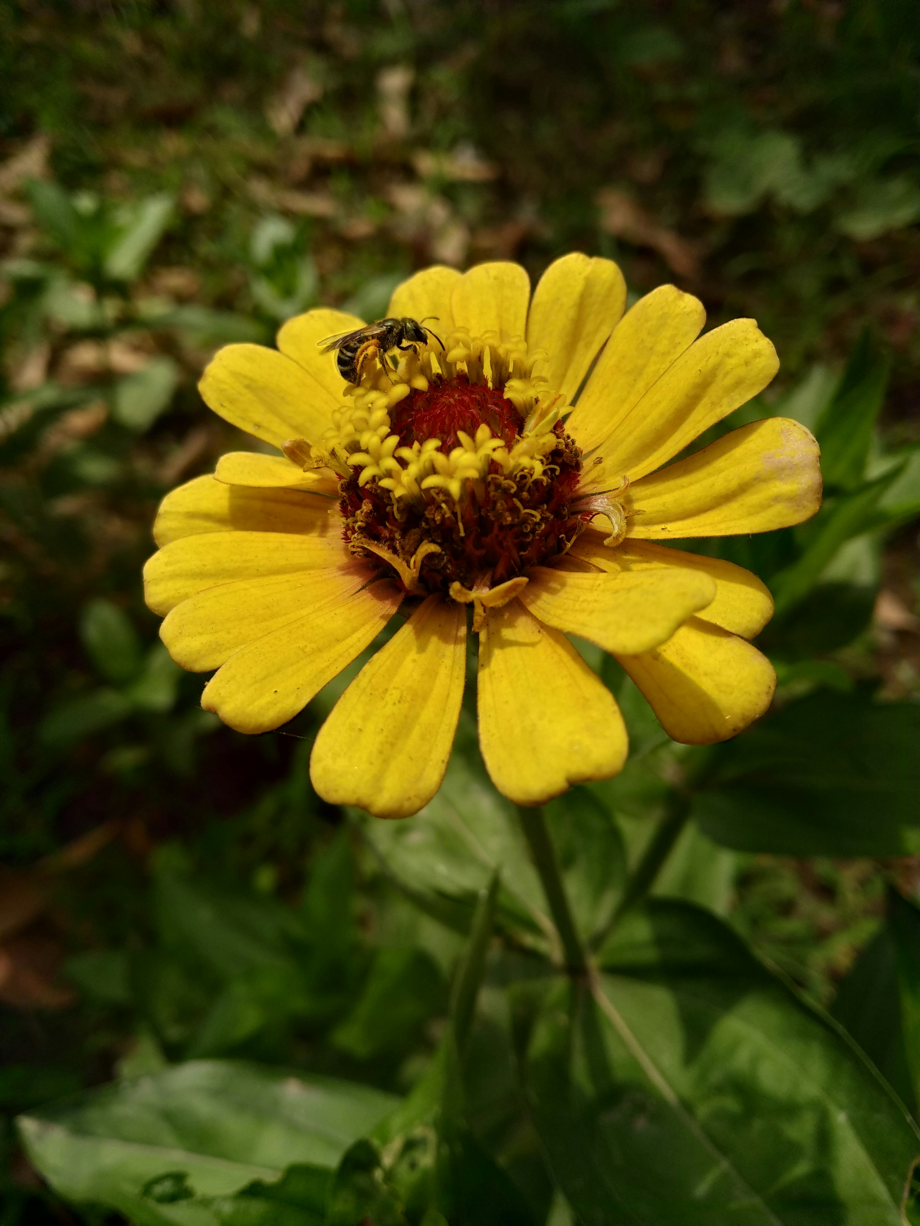 Photo by jyoti07