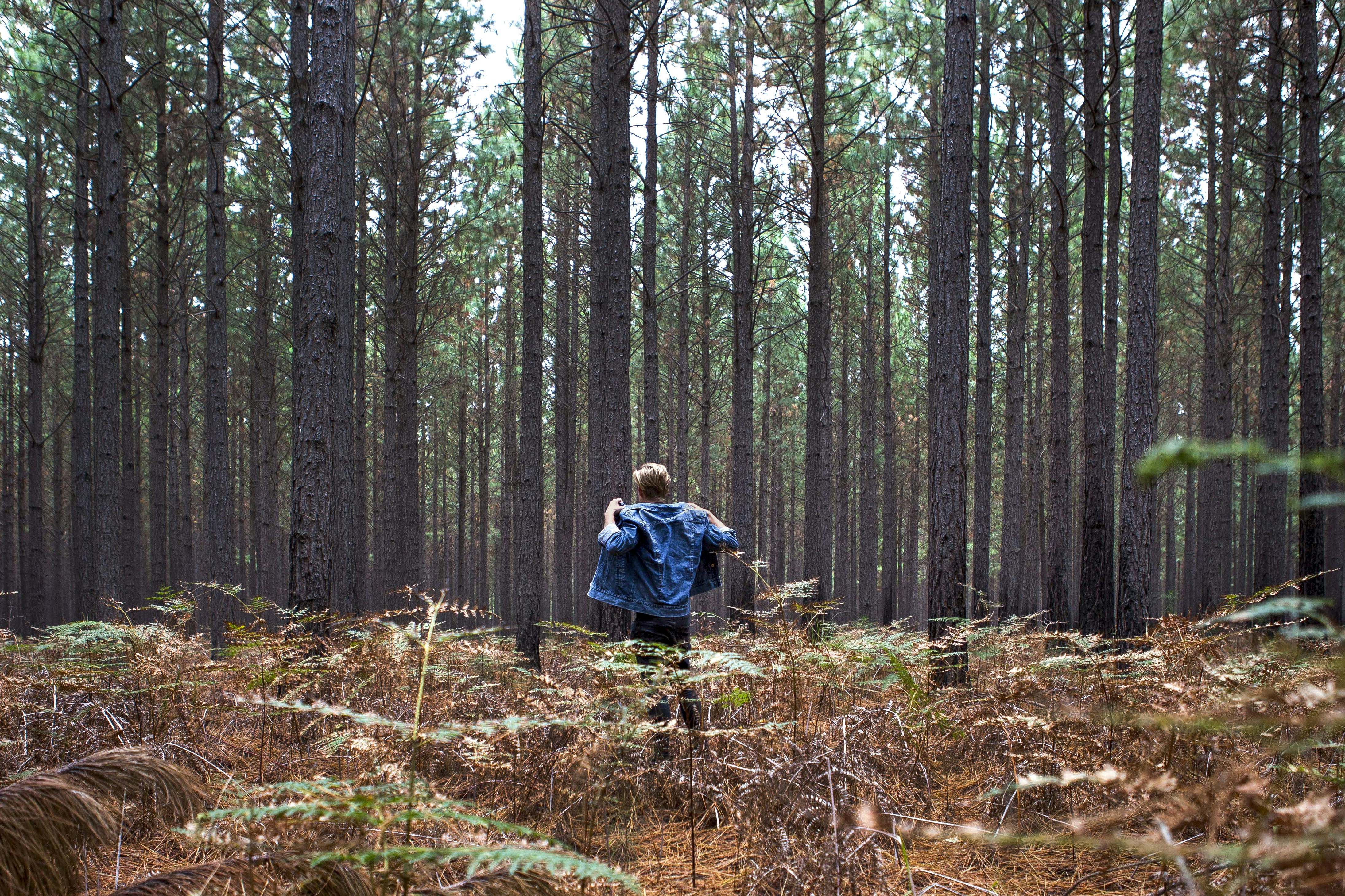 Отнесла старые фото в лес что делать Война снарядом вползает в щели (Виктория Гусятникова) / Стихи.ру