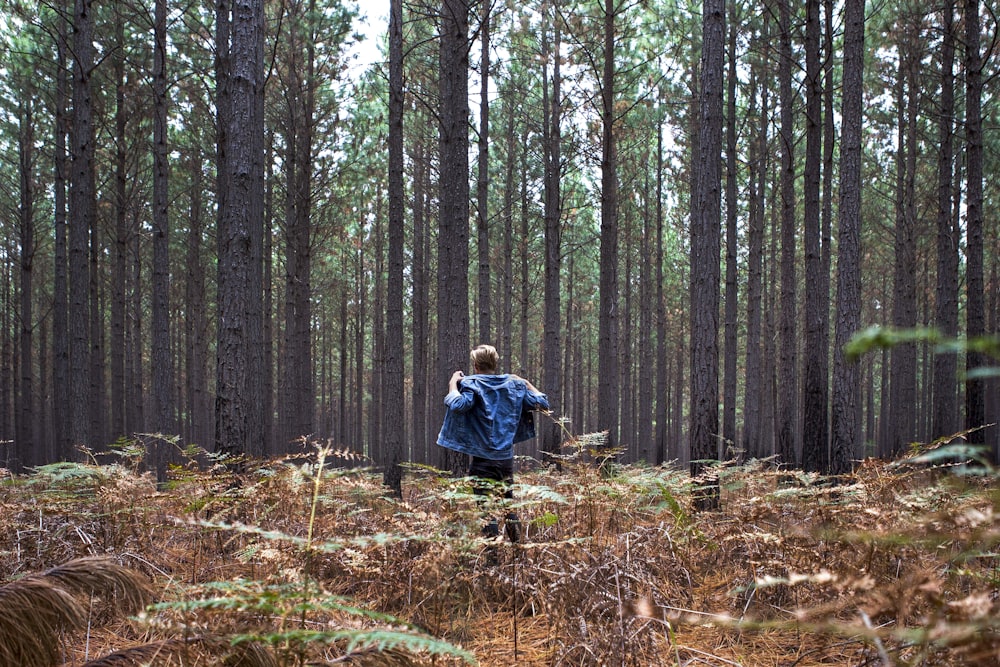 person wearing blue denim jacket under trees