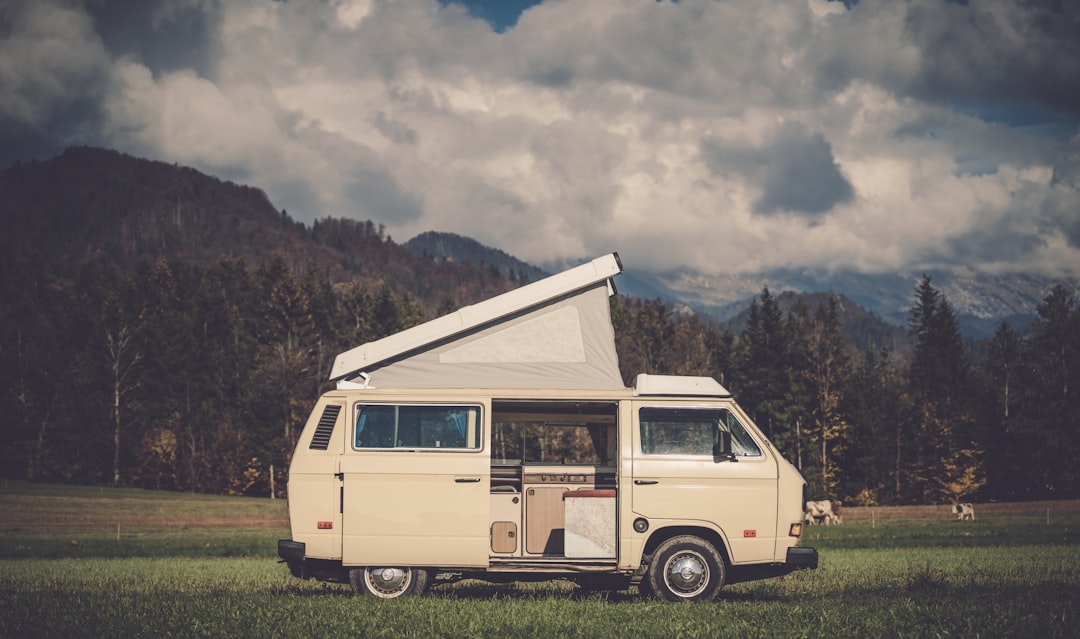 white vehicle parked near trees,