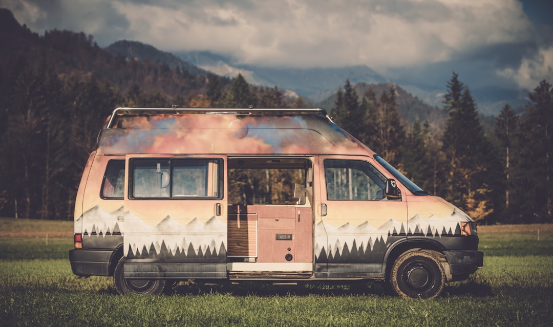brown and black vehicle parked near trees,