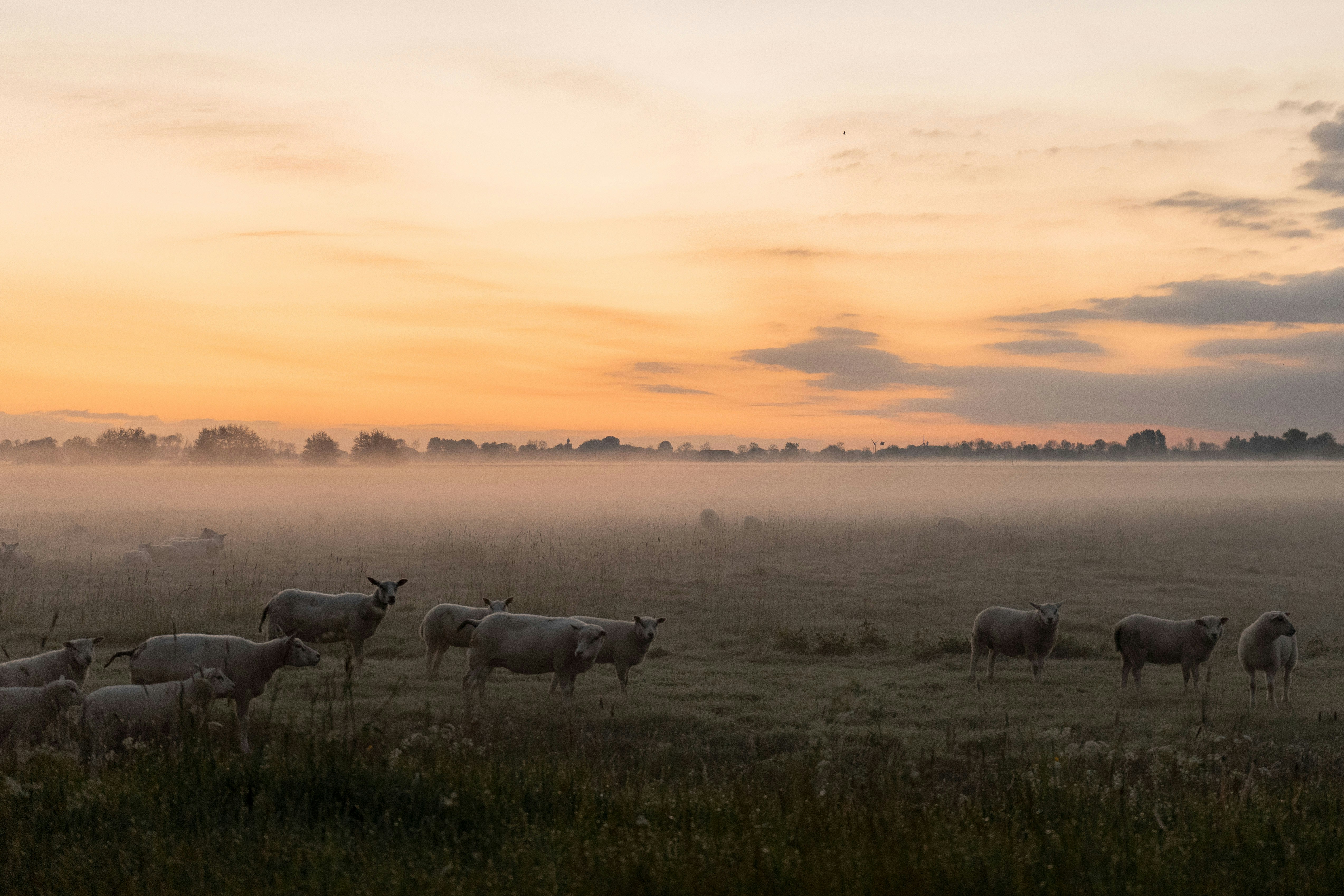 Photo by jessehuisman